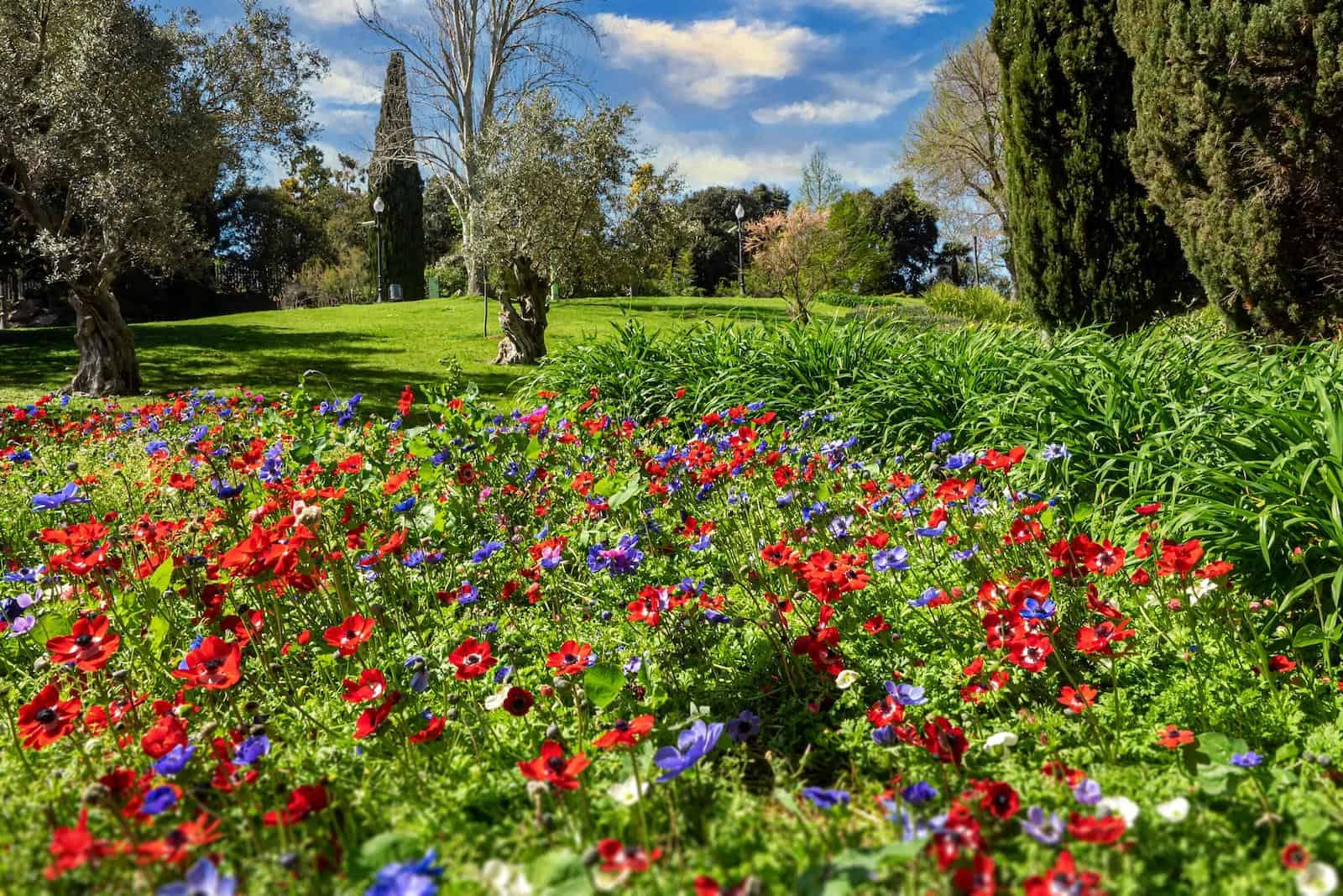 jardin hoteles