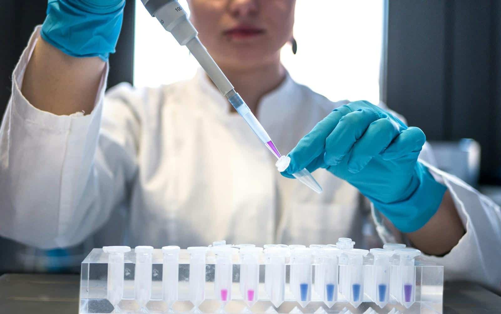 Excipientes: qué son y su importancia en la industria farmacéutica