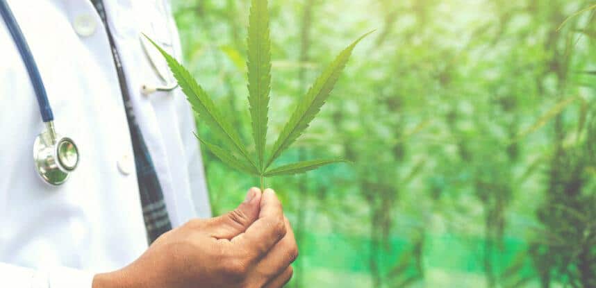 beneficios cbd