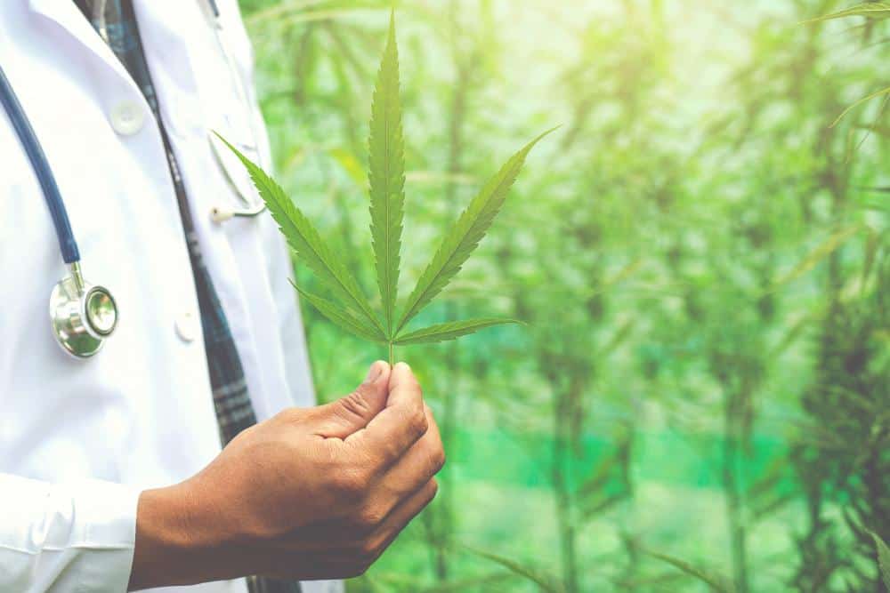 beneficios cbd
